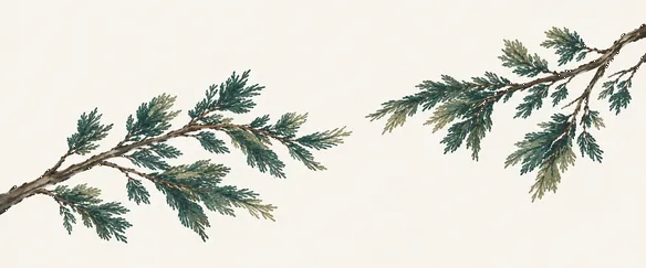 Two branches reaching toward each other